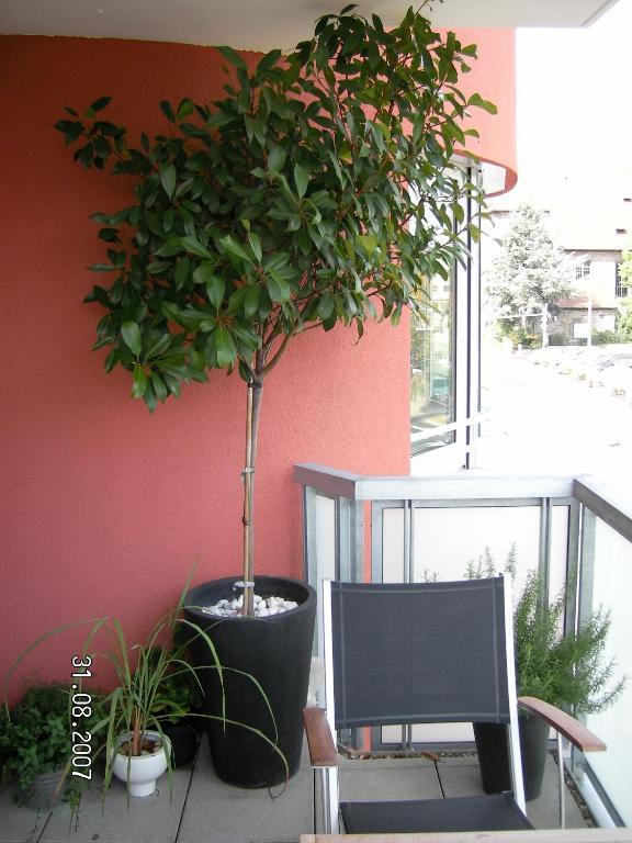 Appartement Am Salamanderpark Kornwestheim Zewnętrze zdjęcie